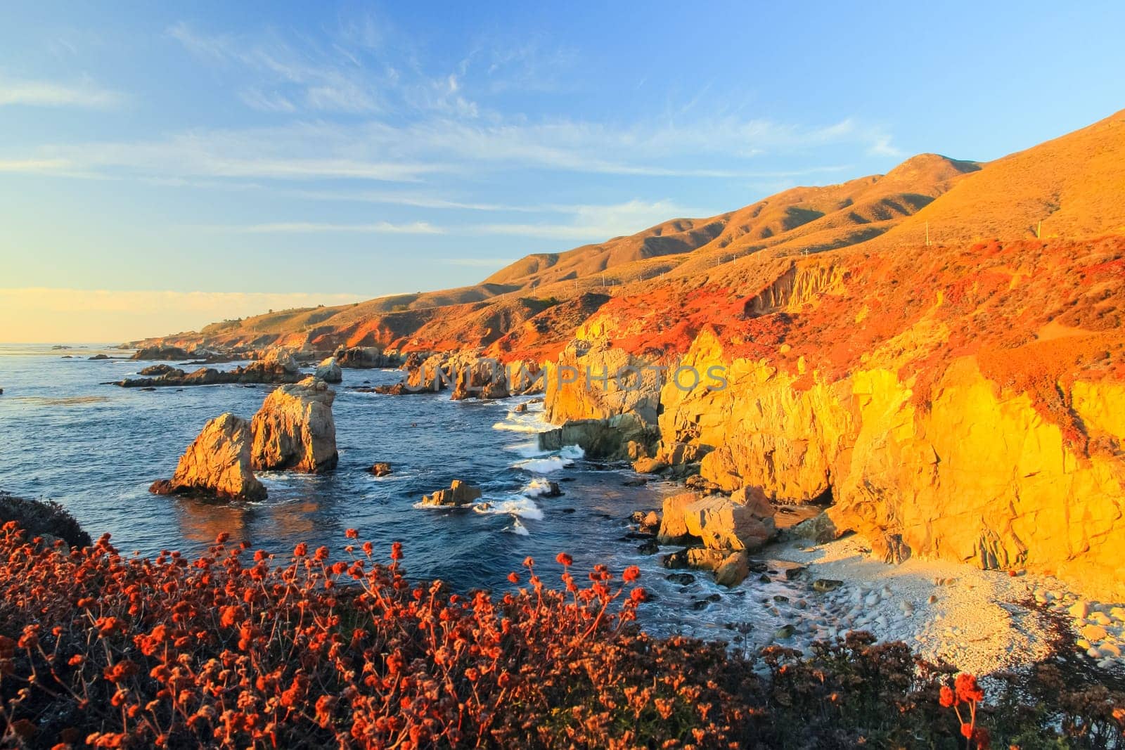 View of the Pacific Ocean in Big Sur, California