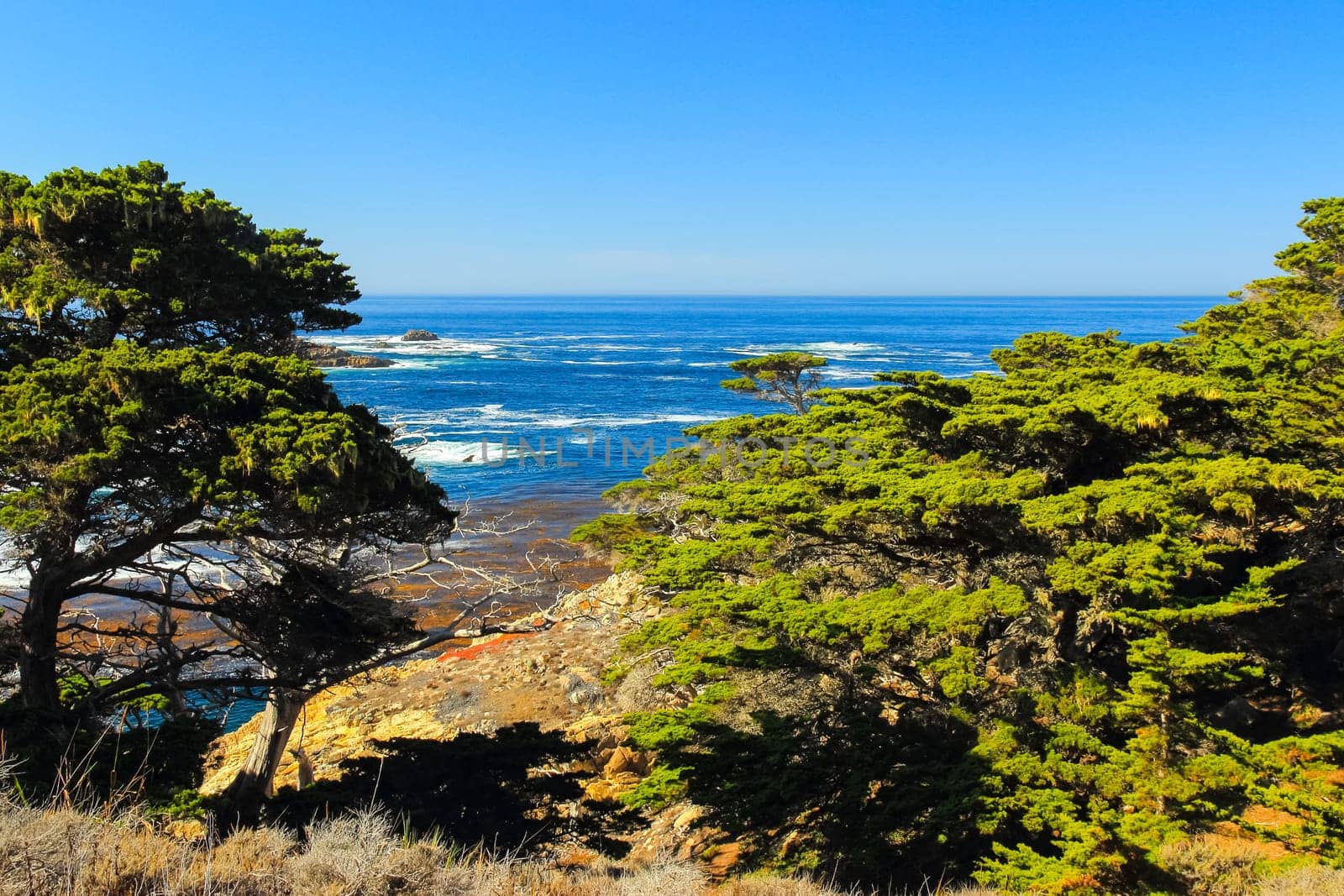 View of the Pacific Ocean in Big Sur, California