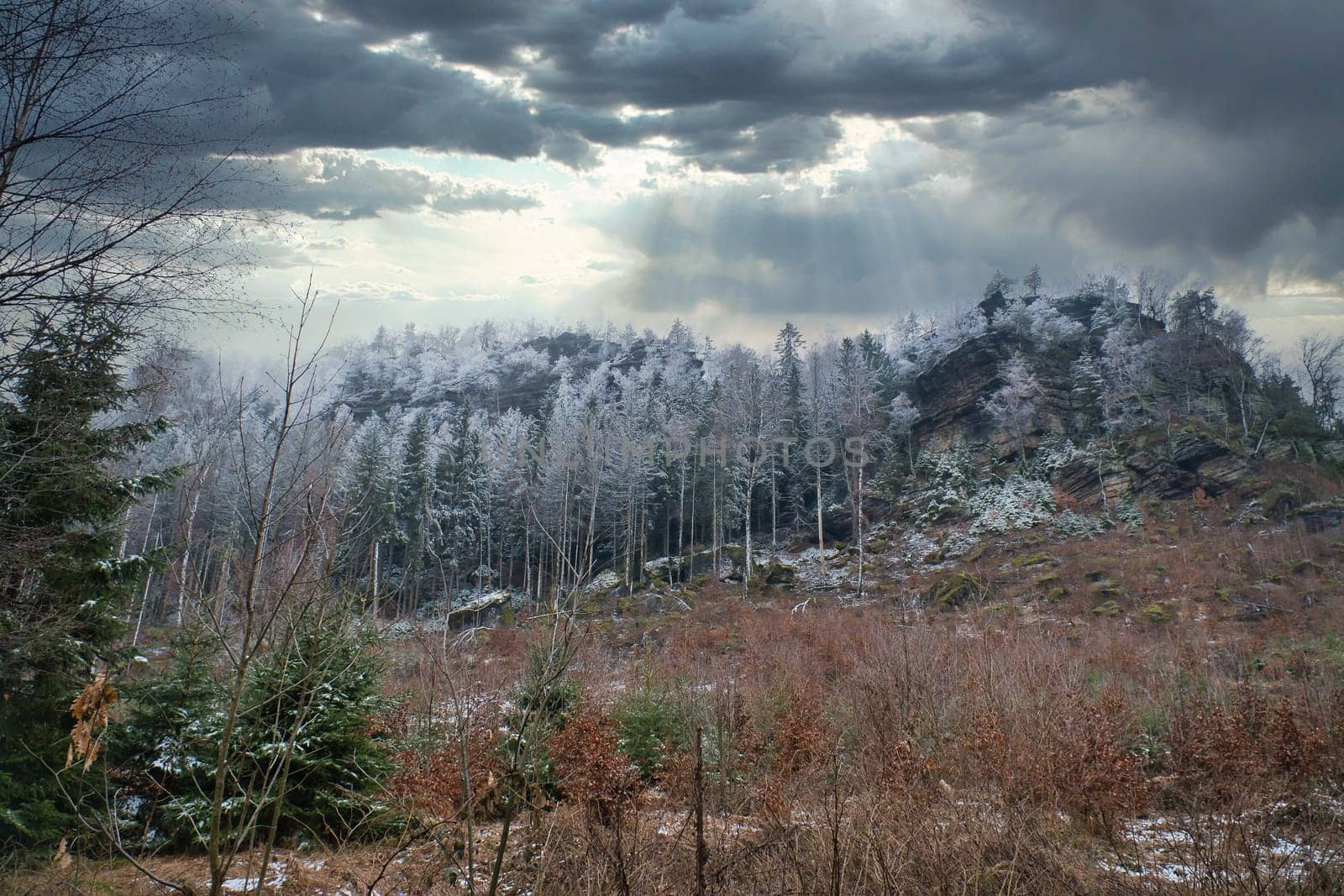 View of the great Zschirnstein with snow-covered trees and dramatic clouds with rays of sunshine, on the summit during a hike. From the nature park in the Elbe Sandstone Mountains. Landscape