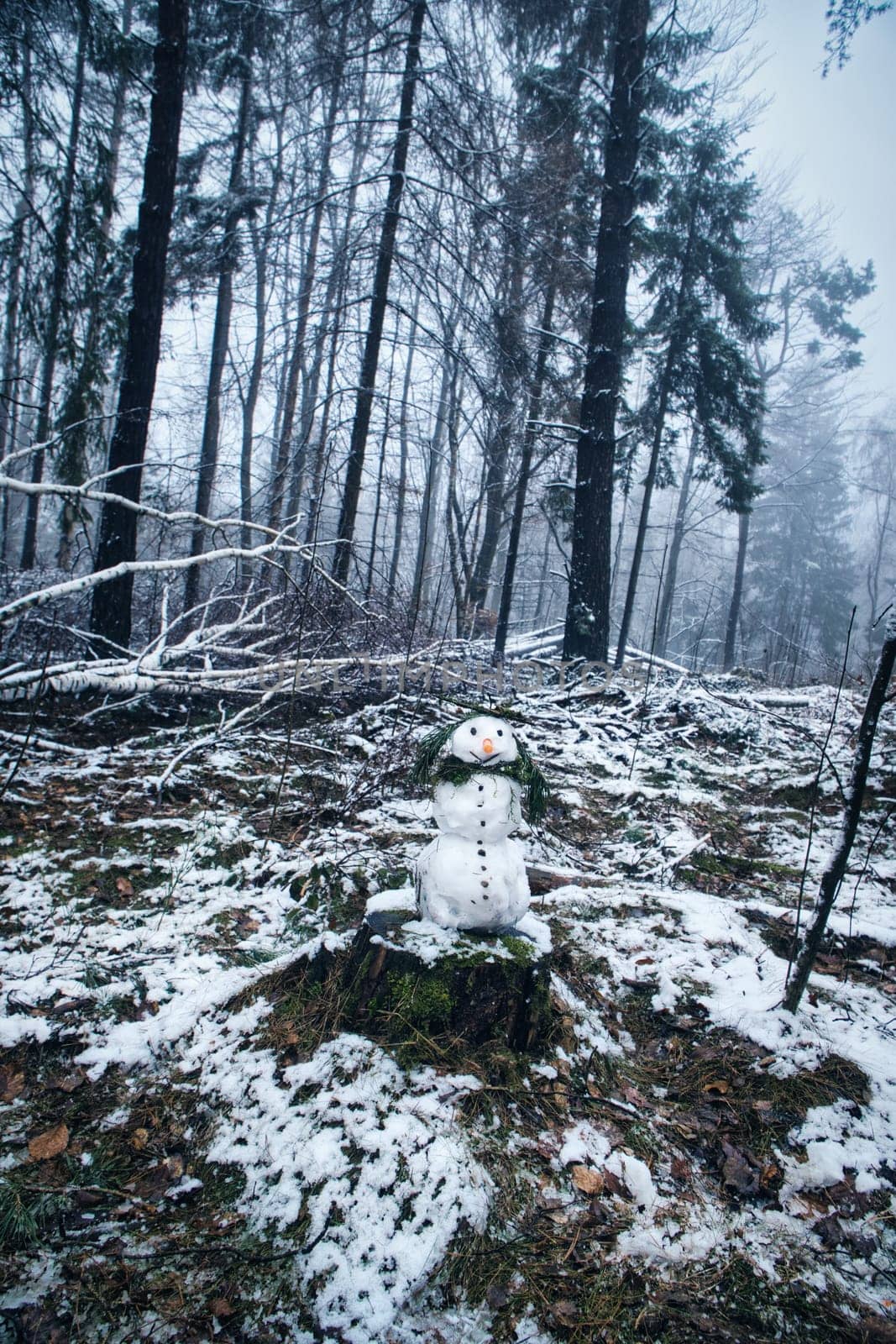 Snowman on a tree stump with a carrot for a nose, buttons, a branch for arms and pine needles for hair. In the snow-covered forest.