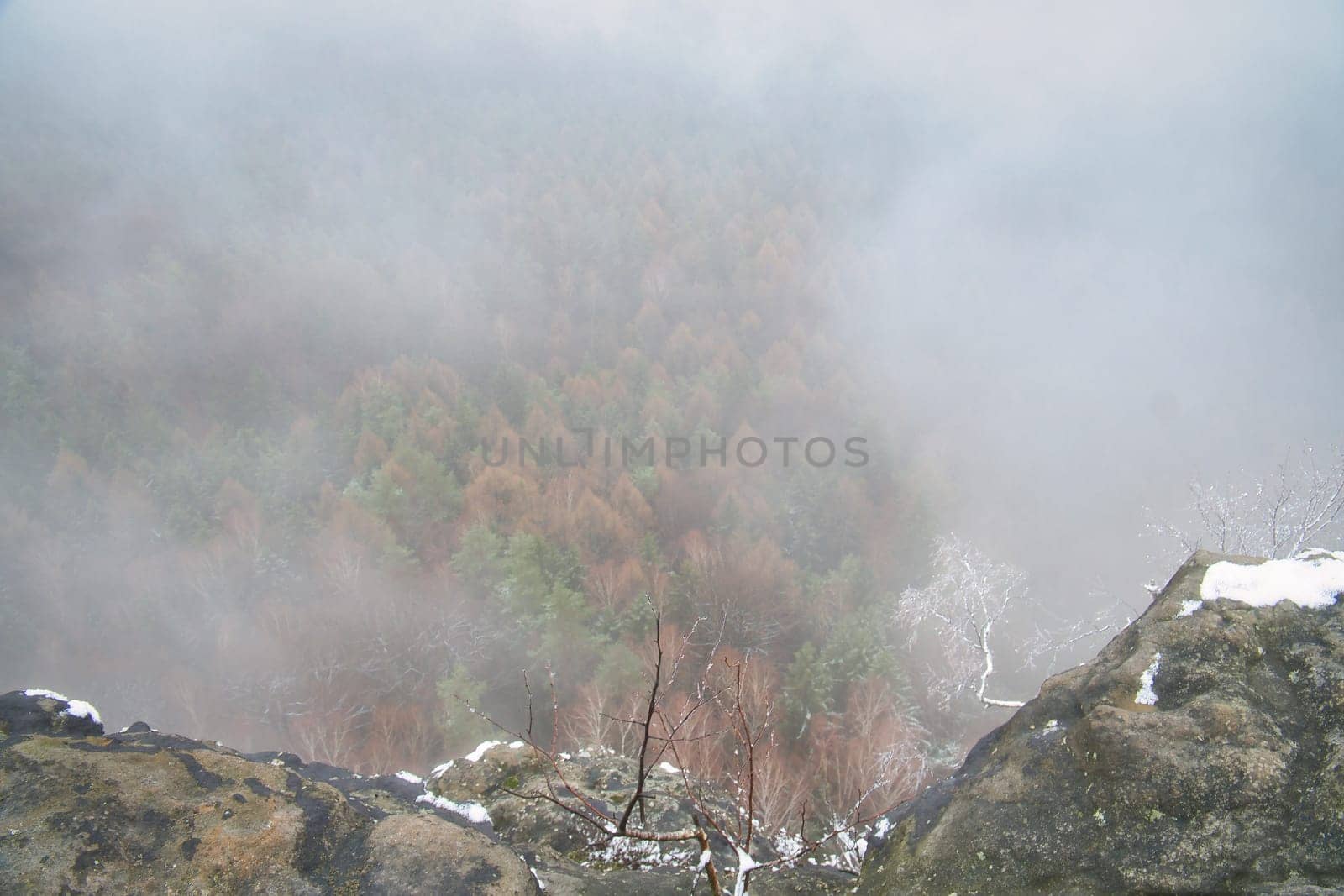 View from the large Zschirnstein into the valley of colorful conifers visible through the mist. Nature park in Saxon Switzerland in Germany