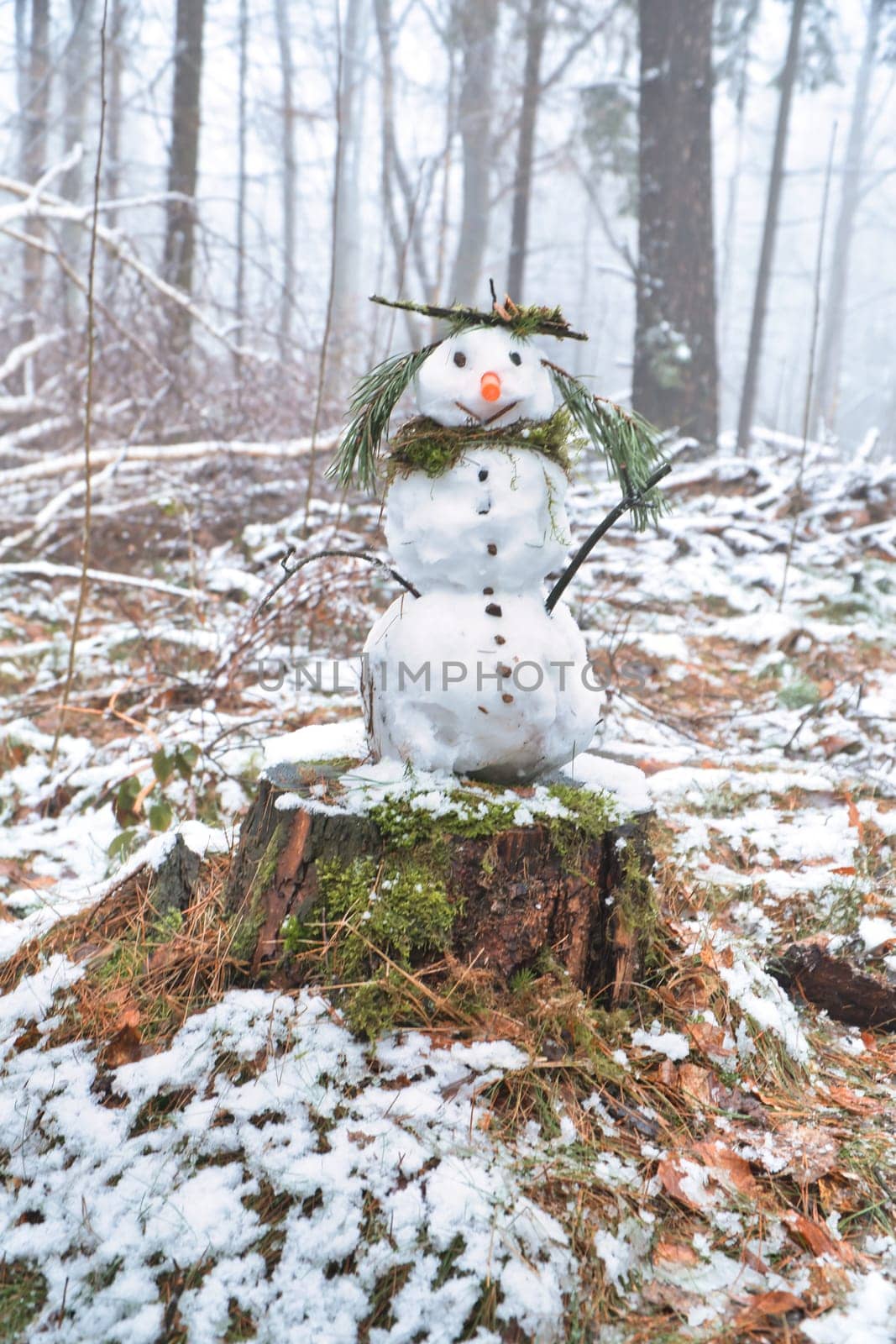 Snowman on a tree stump with a carrot for a nose, buttons, a branch for arms and pine needles for hair. In the snow-covered forest.