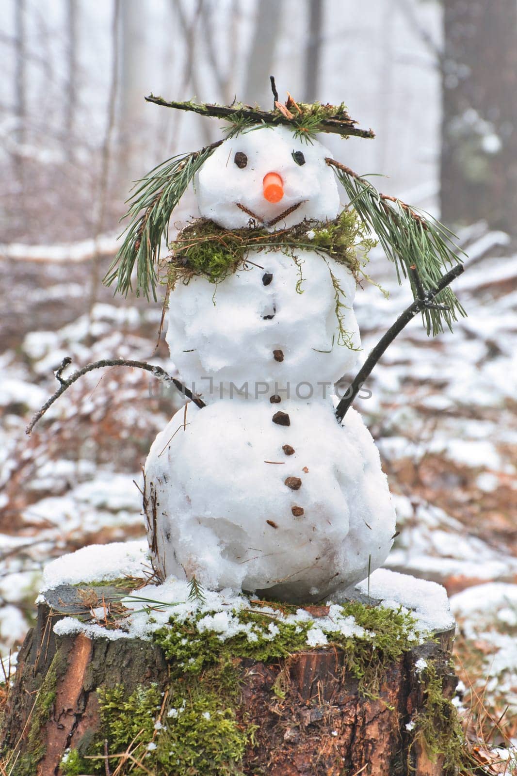 Snowman on a tree stump with a carrot for a nose, buttons, a branch for arms and pine needles for hair. In the snow-covered forest.