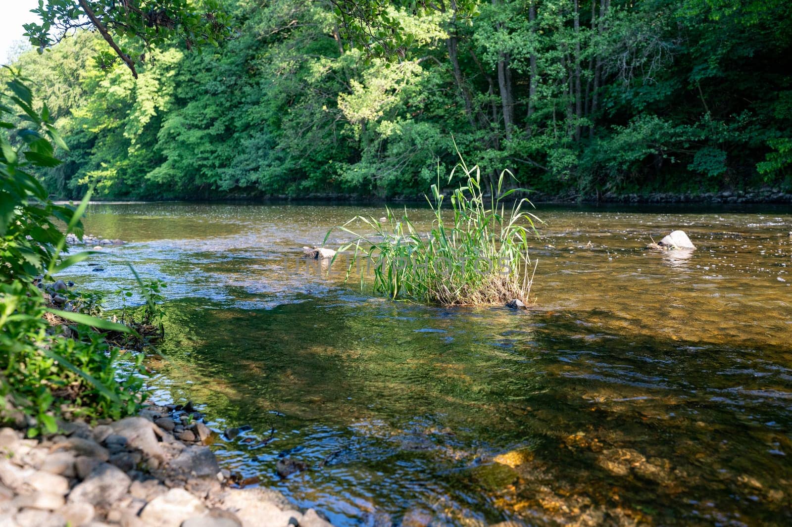 The Eder - A river in Germany in a green landscape