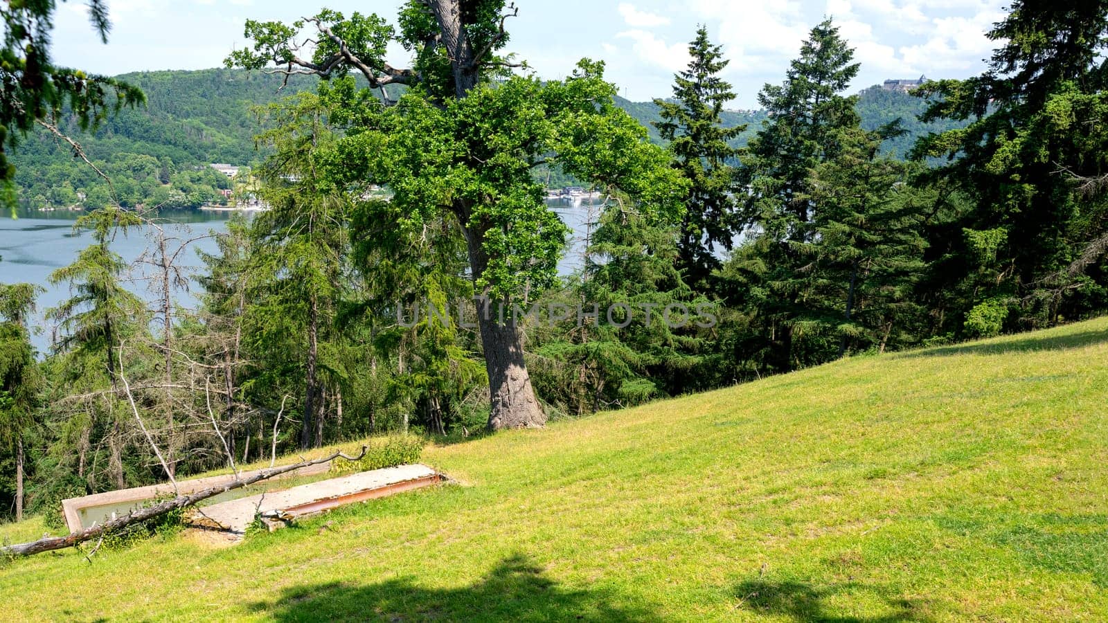 Landscape with a view of Lake Edersee with trees, blue sky and clouds, in Hesse, Germany