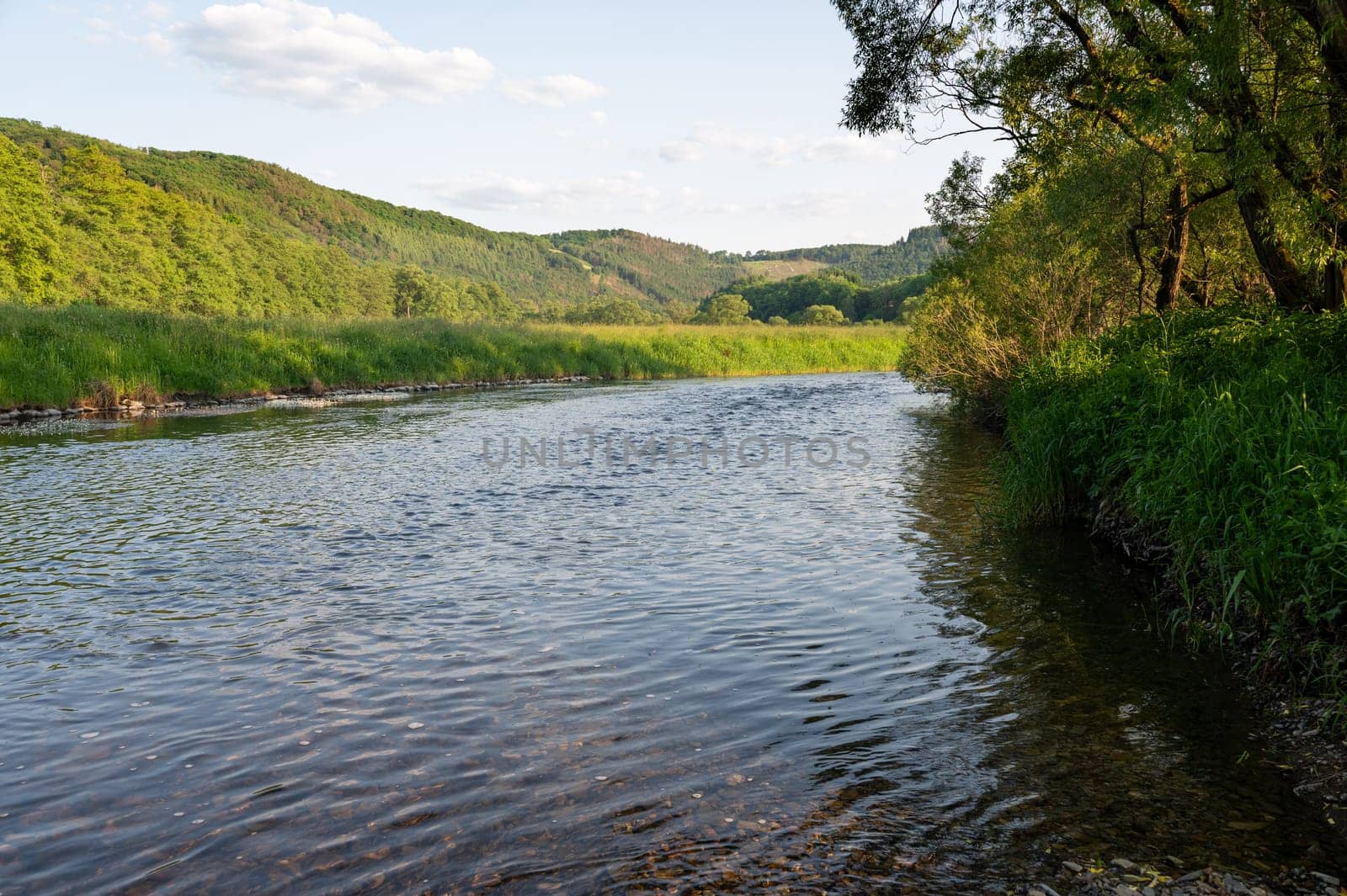 The Eder - A river in Germany in a green landscape