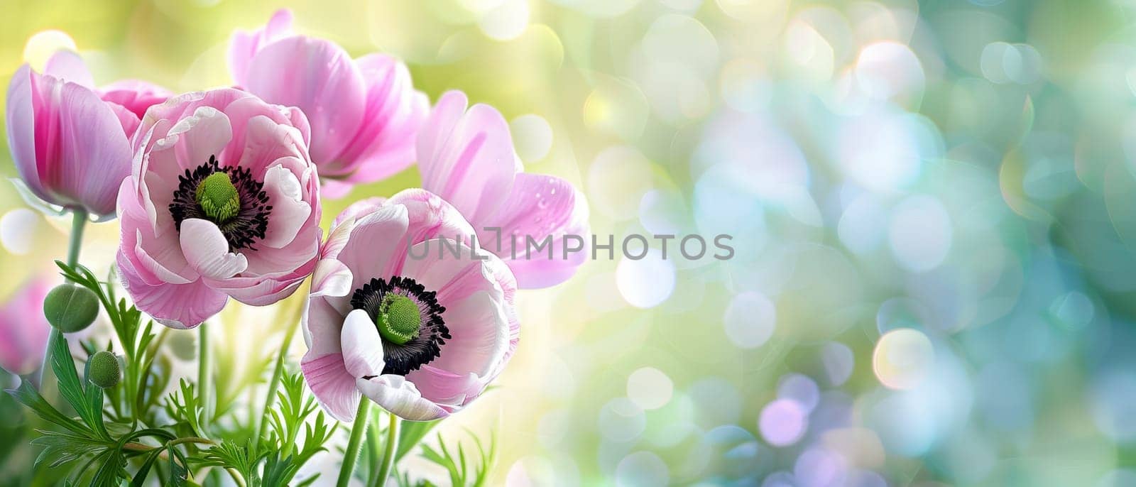 Pink anemones are spotlighted against a bokeh of light, their petals translucent and vibrant in the foreground. The image radiates with the freshness of a spring morning