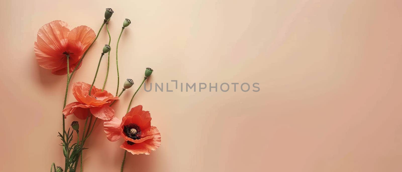 Soft pastel poppies bloom gently against a warm peach background, embodying subtle elegance and a serene aesthetic