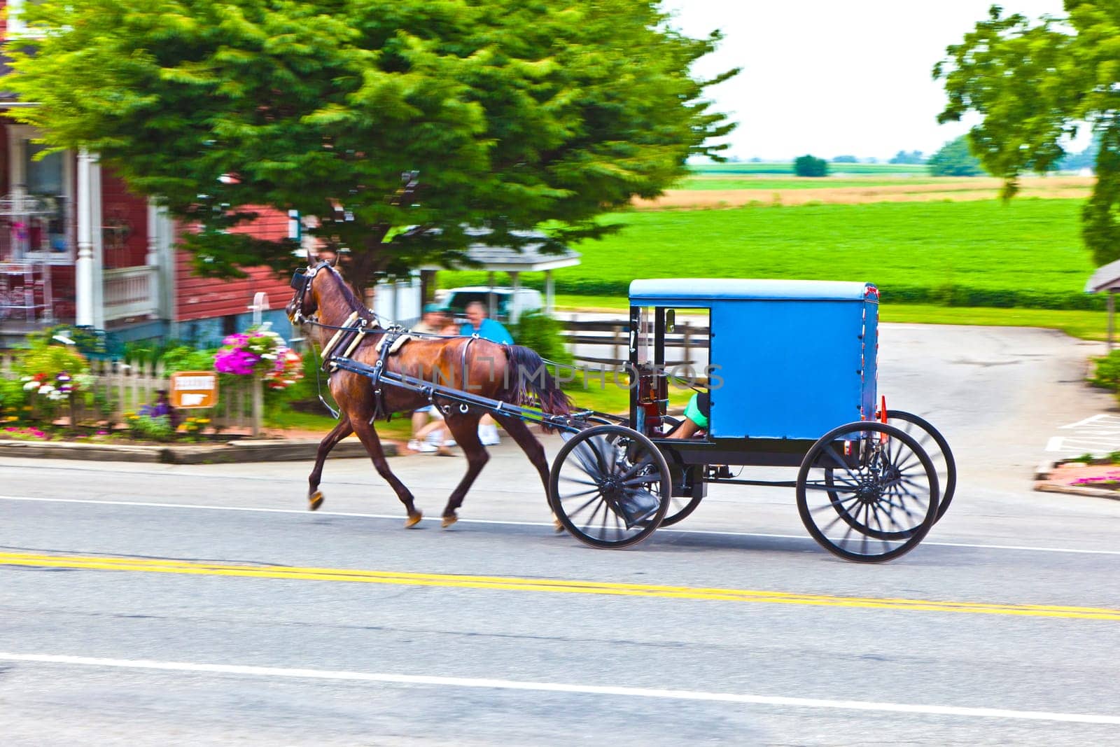 Lancaster, USA - July 13, 2010: A horse pulling a cart across the street