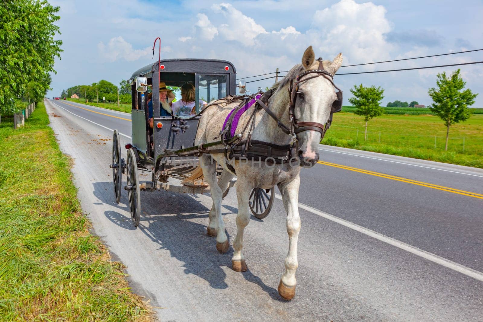 Lancaster, USA - July 13, 2010: A horse  cart of Amish people at the street in Lancaster, USA.