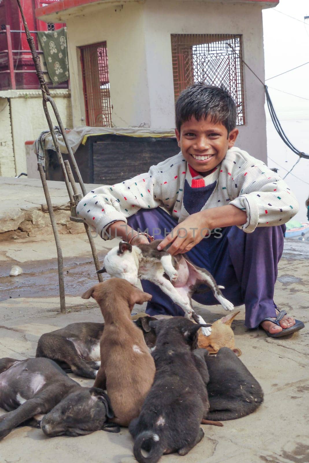 Varanasi, India - December 10, 2009: boy is selling young dogs in Varanasi, India. Dog meat is eaten in India.