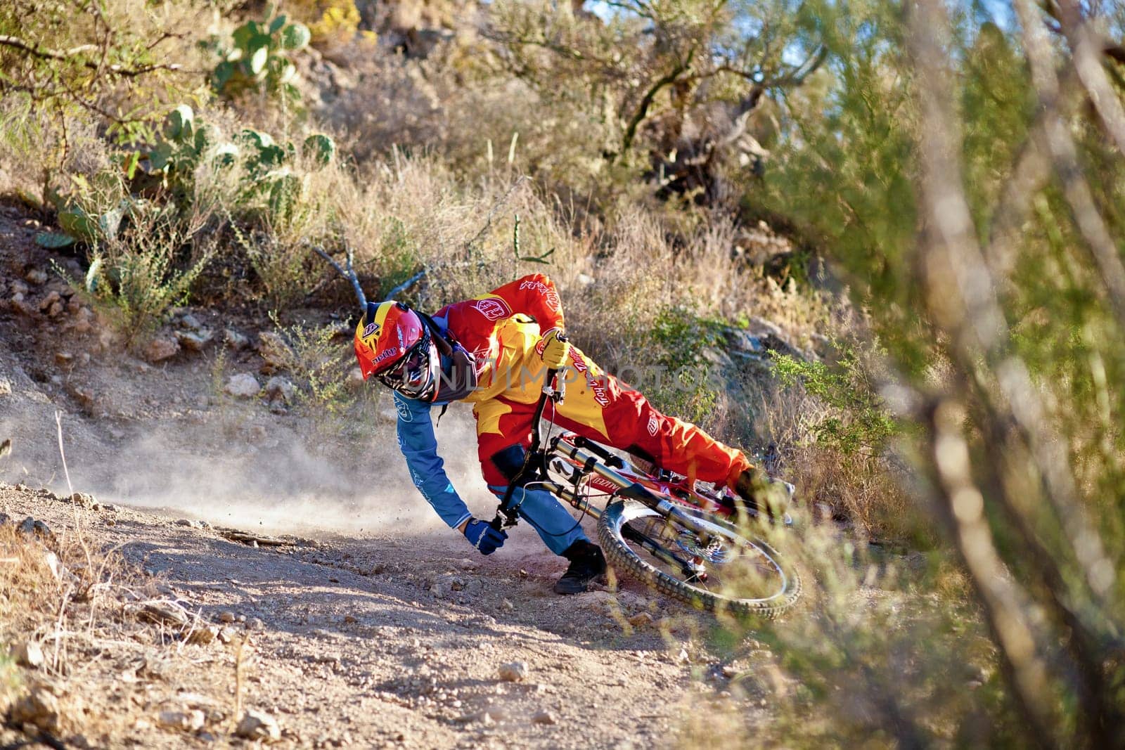 Tuscon, USA - November 11, 2011: downhill bike ride in Tuscon, USA. There are around 1,000 bicycle related deaths in the United States each year, 75% of which are due to head injuries.