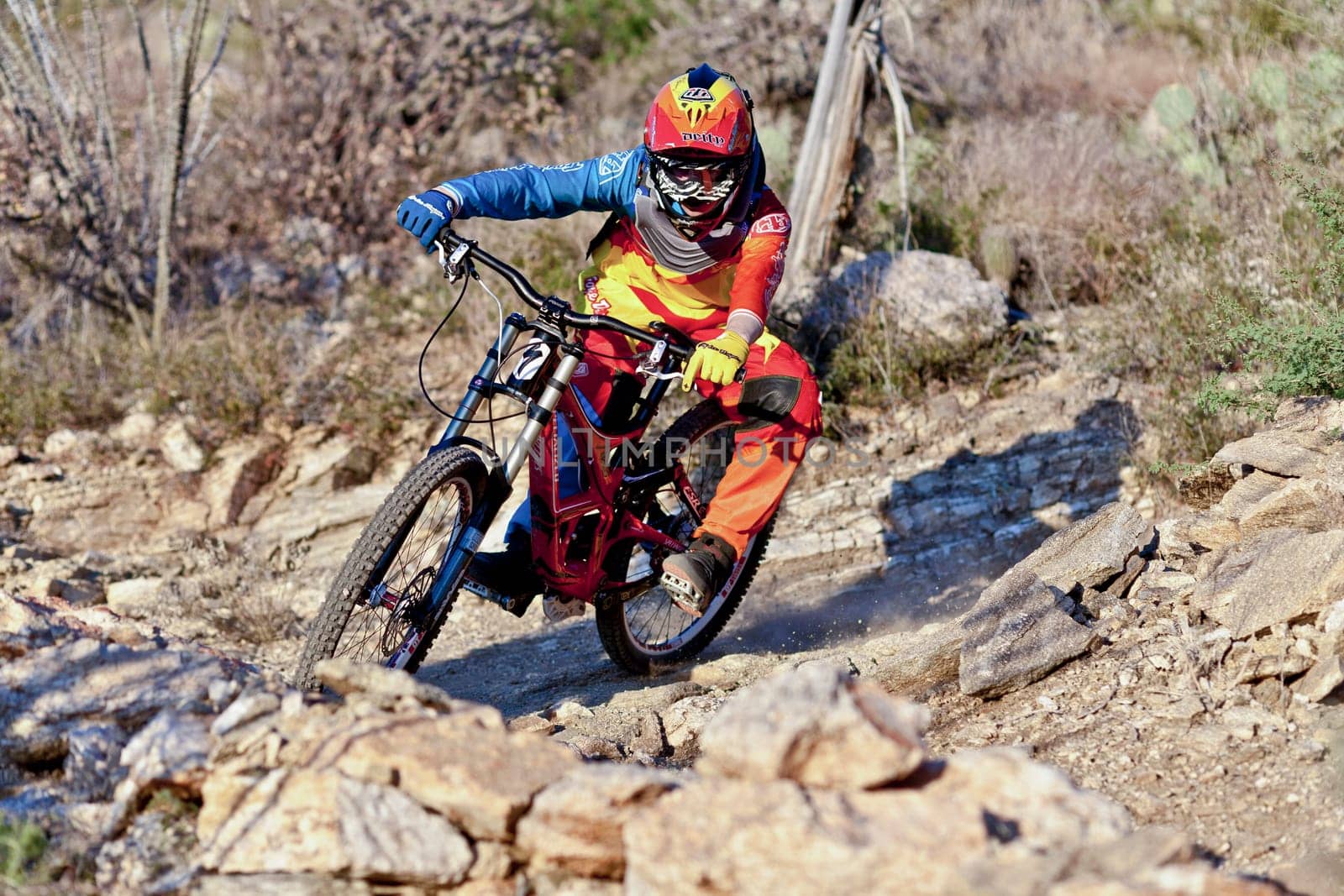 Tuscon, USA - November 11, 2011: downhill bike ride in Tuscon, USA. There are around 1,000 bicycle related deaths in the United States each year, 75% of which are due to head injuries.