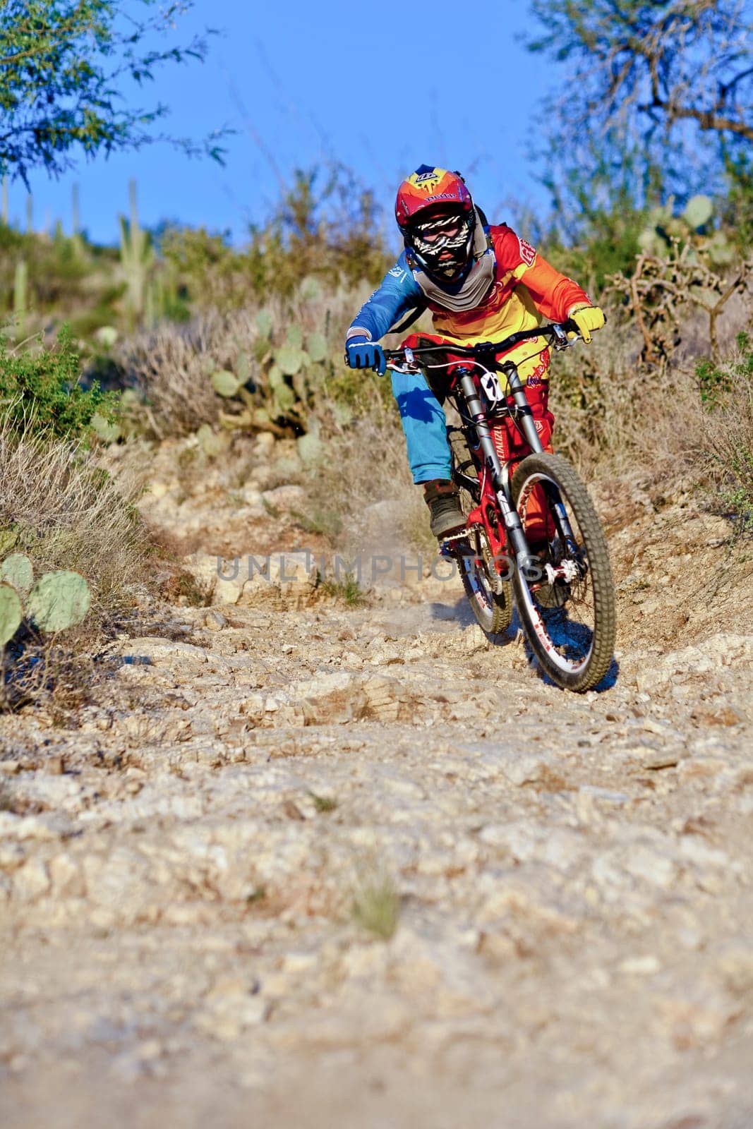 Tuscon, USA - November 11, 2011: downhill bike ride in Tuscon, USA. There are around 1,000 bicycle related deaths in the United States each year, 75% of which are due to head injuries.