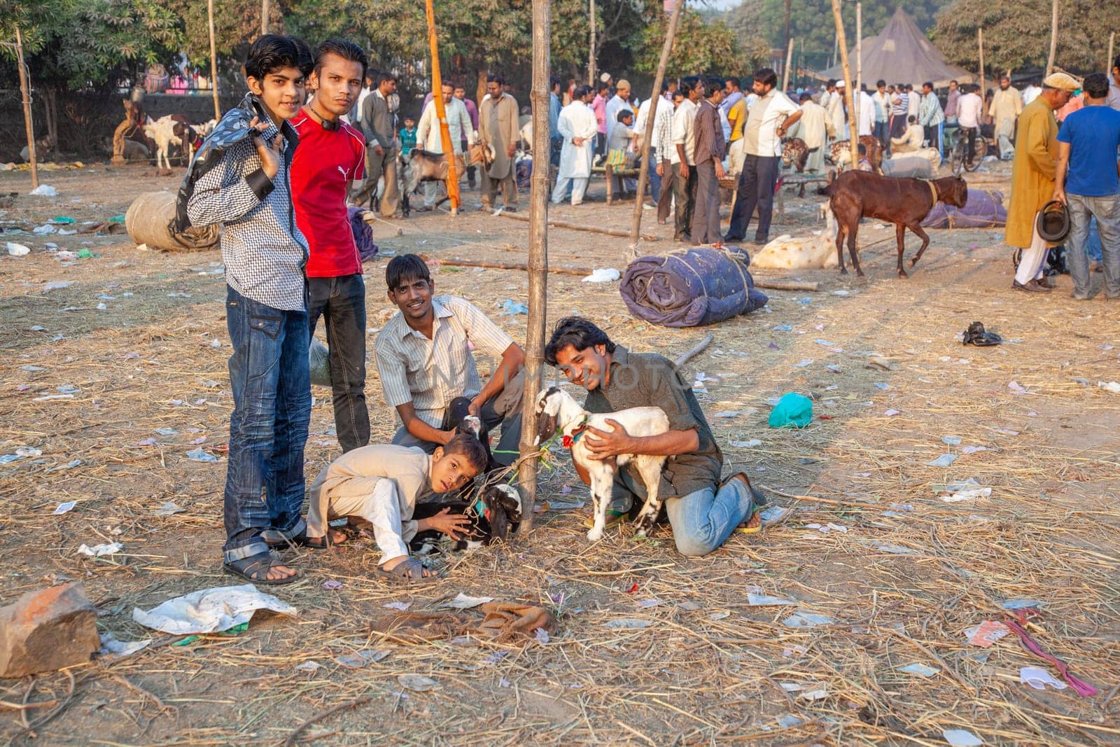Delhi, India - November 10, 2011: young men selling small goats, animal babies at the Meena Bazaar in Delhi. Shah Jahan founded the bazaar in the 17th century.