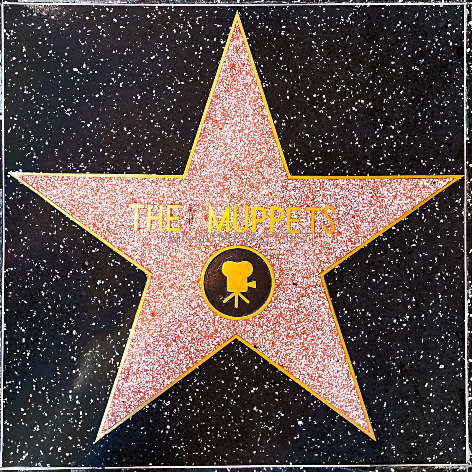 Los Angeles, USA - June 24, 2012:  The Muppets star on Hollywood Walk of Fame in Hollywood, California. This star is located on Hollywood Blvd. and is one of 2400 celebrity stars.