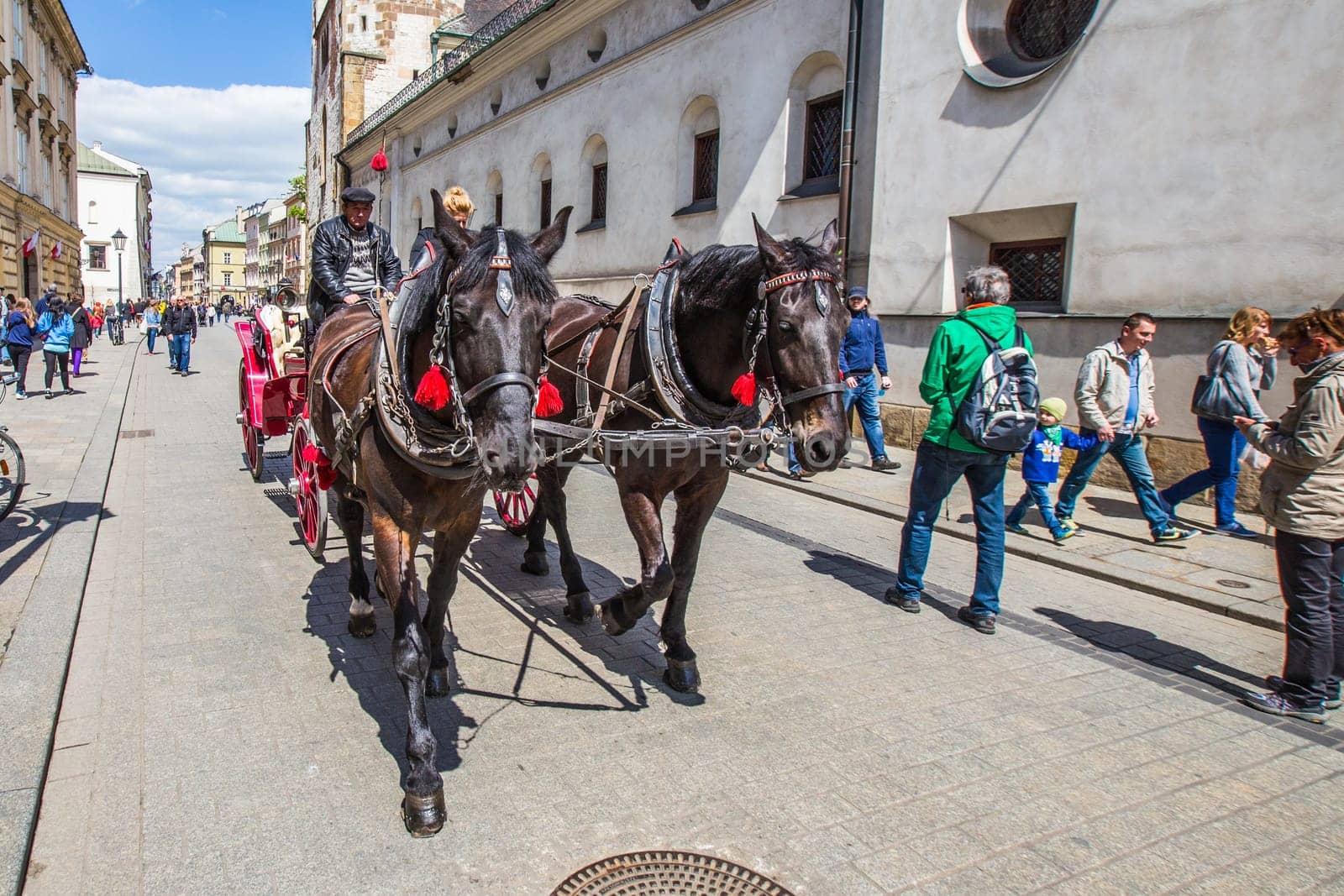 KRAKOW, POLAND - MAY 4: Horse-drawn carriage at the Market Square, standardized the color, total length of no more than 7.0 m, can be harnessed to a max of two horses on May 4, 2014 in Krakow, Poland.