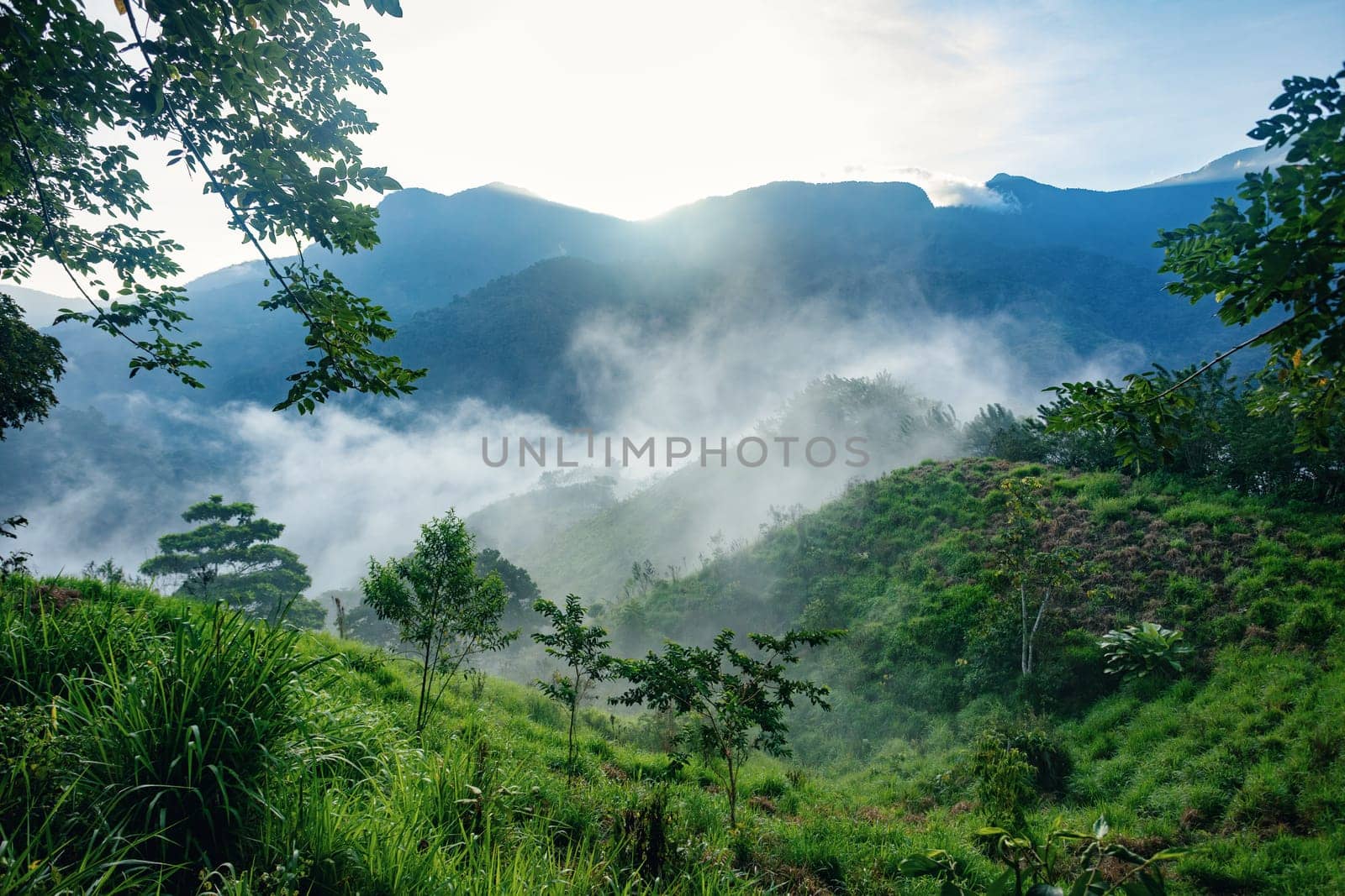 Misty and fogy jungle landscape. Hard trek to hidden ancient ruins of Tayrona civilization Ciudad Perdida in Colombian jungle. Santa Marta, Sierra Nevada mountains, Colombia wilderness.