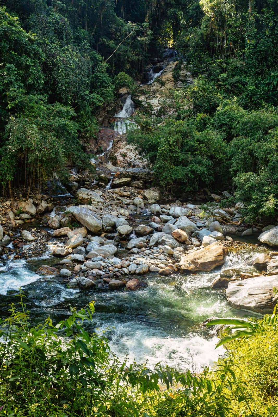 Small waterfall river in jungle. Hard trek to hidden ancient ruins of Tayrona civilization Ciudad Perdida in Colombian jungle. Santa Marta, Sierra Nevada mountains, Colombia wilderness landscape.
