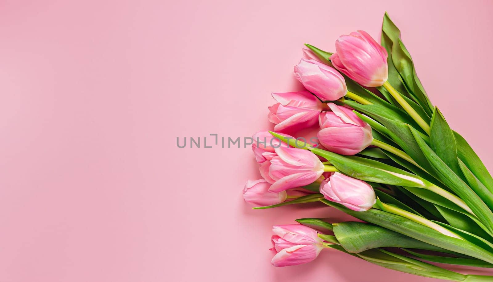 tulips bouquet on pink background with copyspace