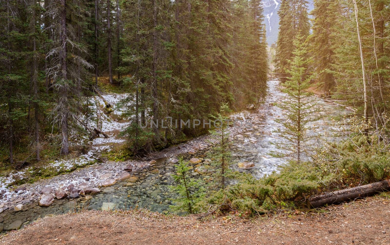 Stunning view of Johnston Canyon trail in Banff National Park, Alberta, Canada