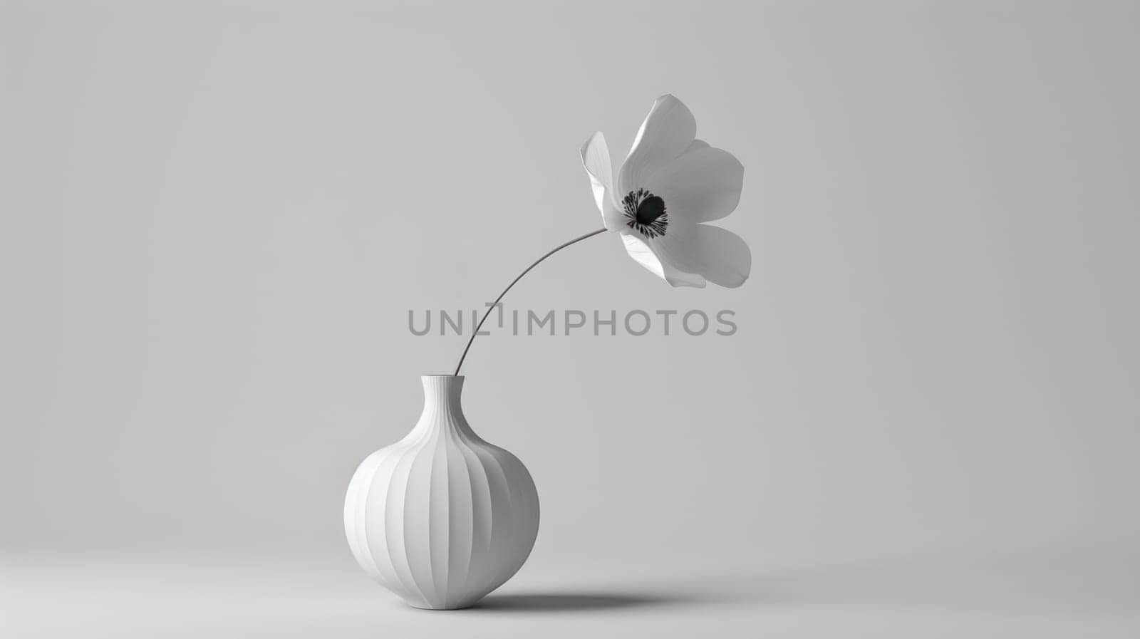 Still life of white flower. Copy space. Created using AI generated technology and image editing software.