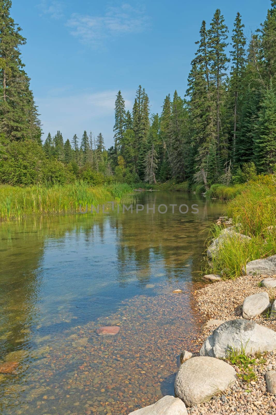 Quiet Stream Flowing in the North Woods on the Kingsmere River in Prince Albert National Park in Saskatchewan