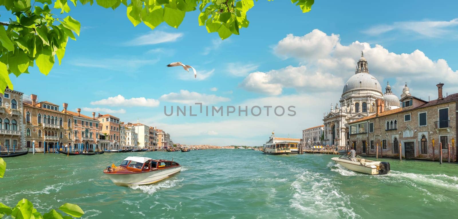 Grand Canal and Basilica Santa Maria della Salute, Venice, Italy