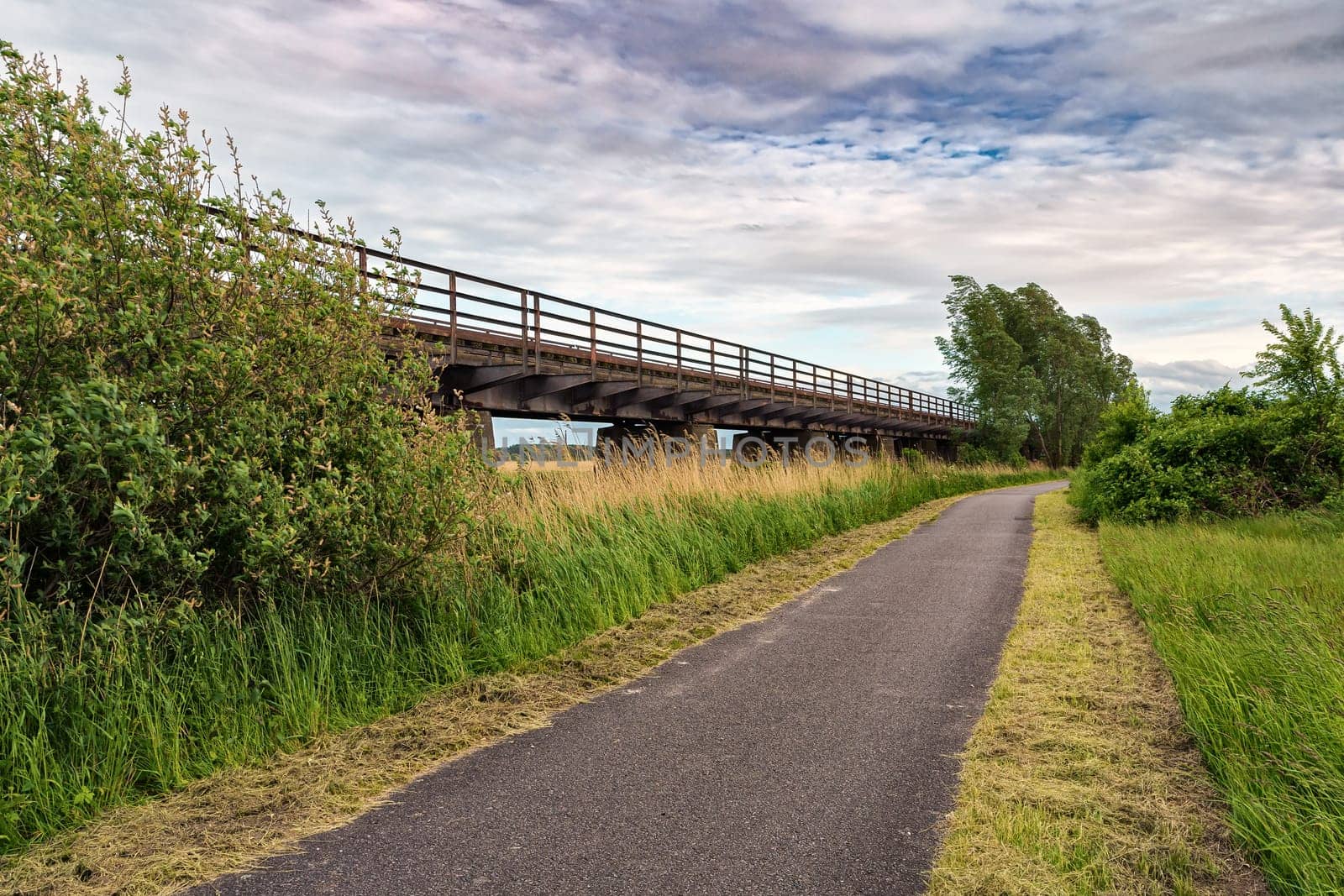 Former Darßbahn train line in Bresewitz, just before the Meiningen Bridge to the Fischland-Darß peninsula, Mecklenburg-Western Pomerania, Germany