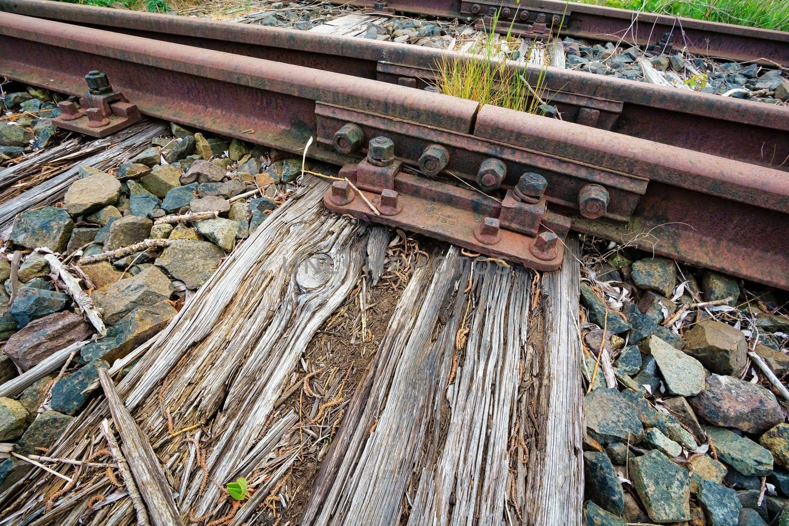Former Darßbahn train line in Bresewitz, just before the Meiningen Bridge to the Fischland-Darß peninsula, Mecklenburg-Western Pomerania, Germany