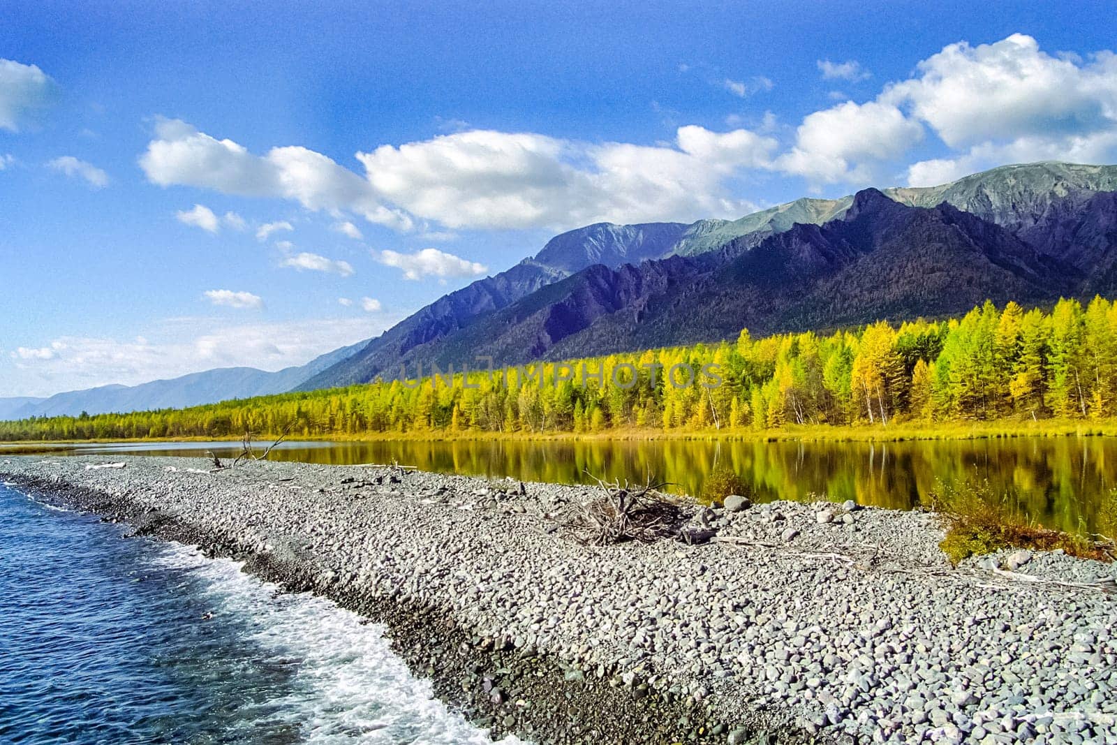 Autumnal nature on Lake Baikal. Landscape and flora of Baikal