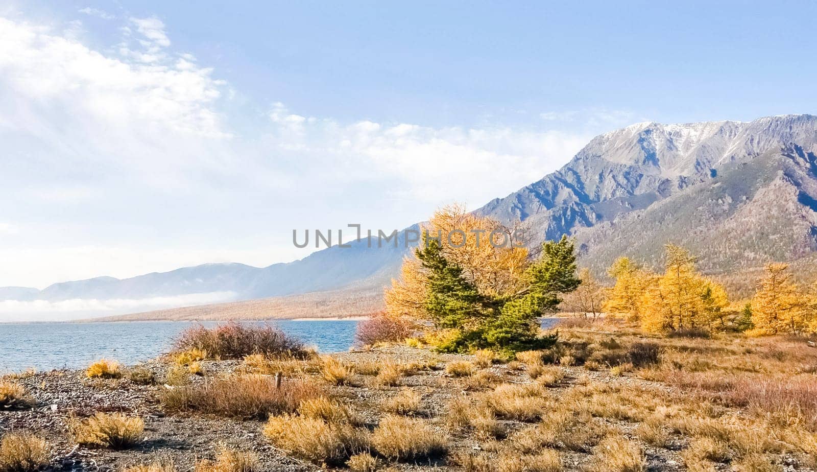 Autumnal nature on Lake Baikal. Landscape and flora of Baikal