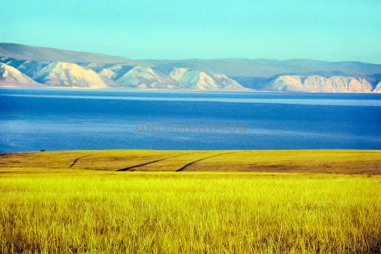 Autumnal nature on Lake Baikal. Landscape and flora of Baikal