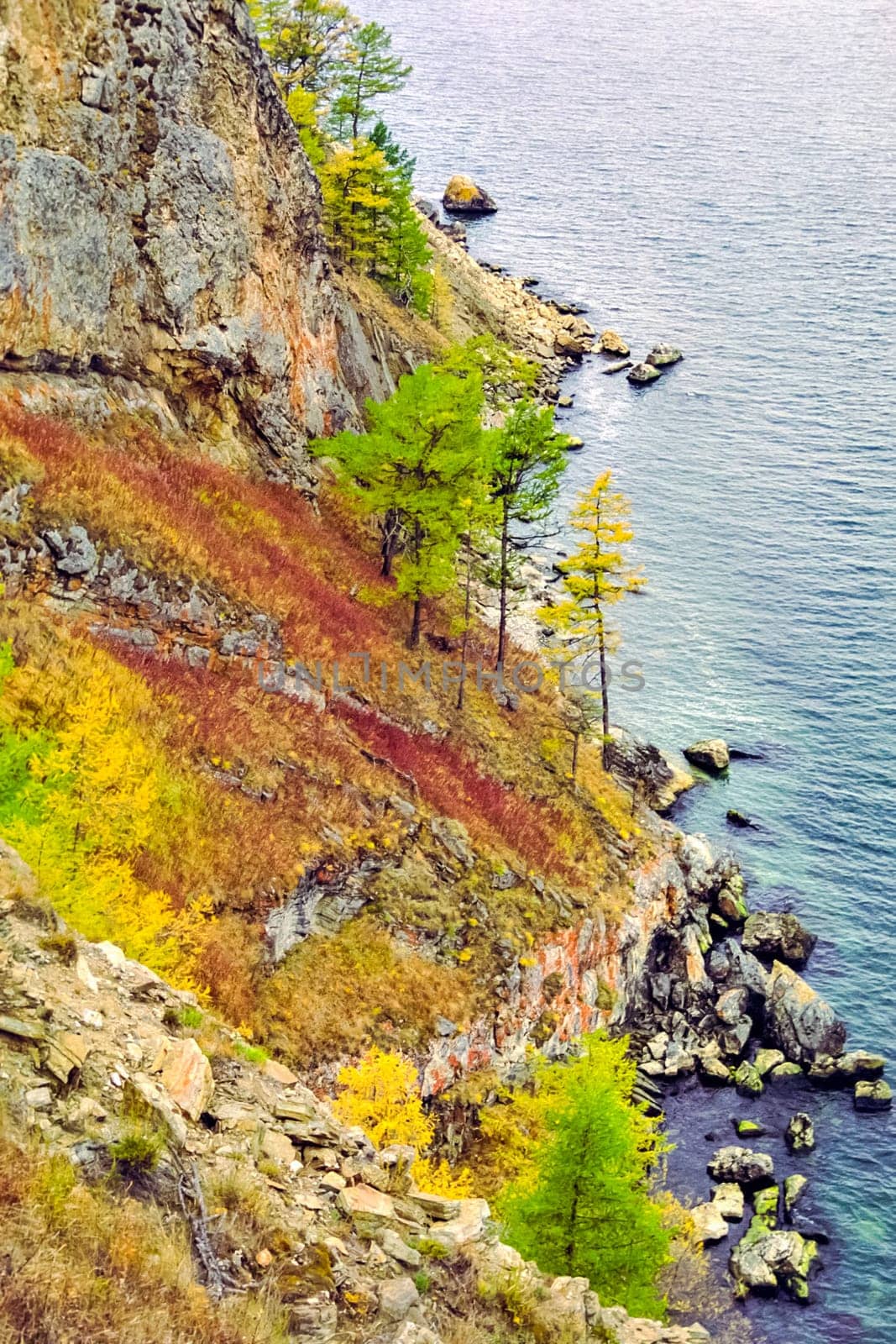 Autumnal nature on Lake Baikal. Landscape and flora of Baikal