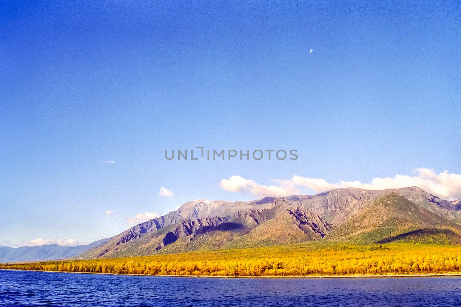 Autumnal nature on Lake Baikal. Landscape and flora of Baikal