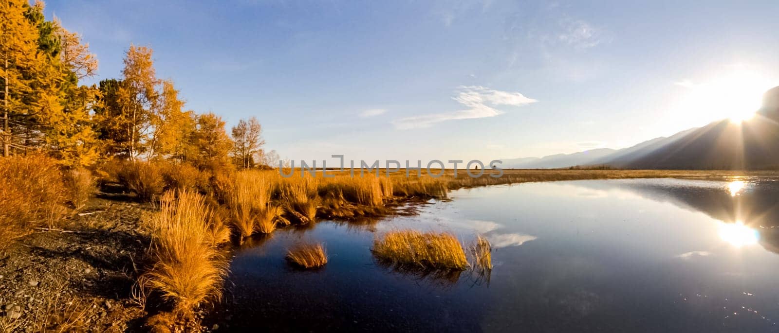 Autumnal nature on Lake Baikal. Landscape and flora of Baikal