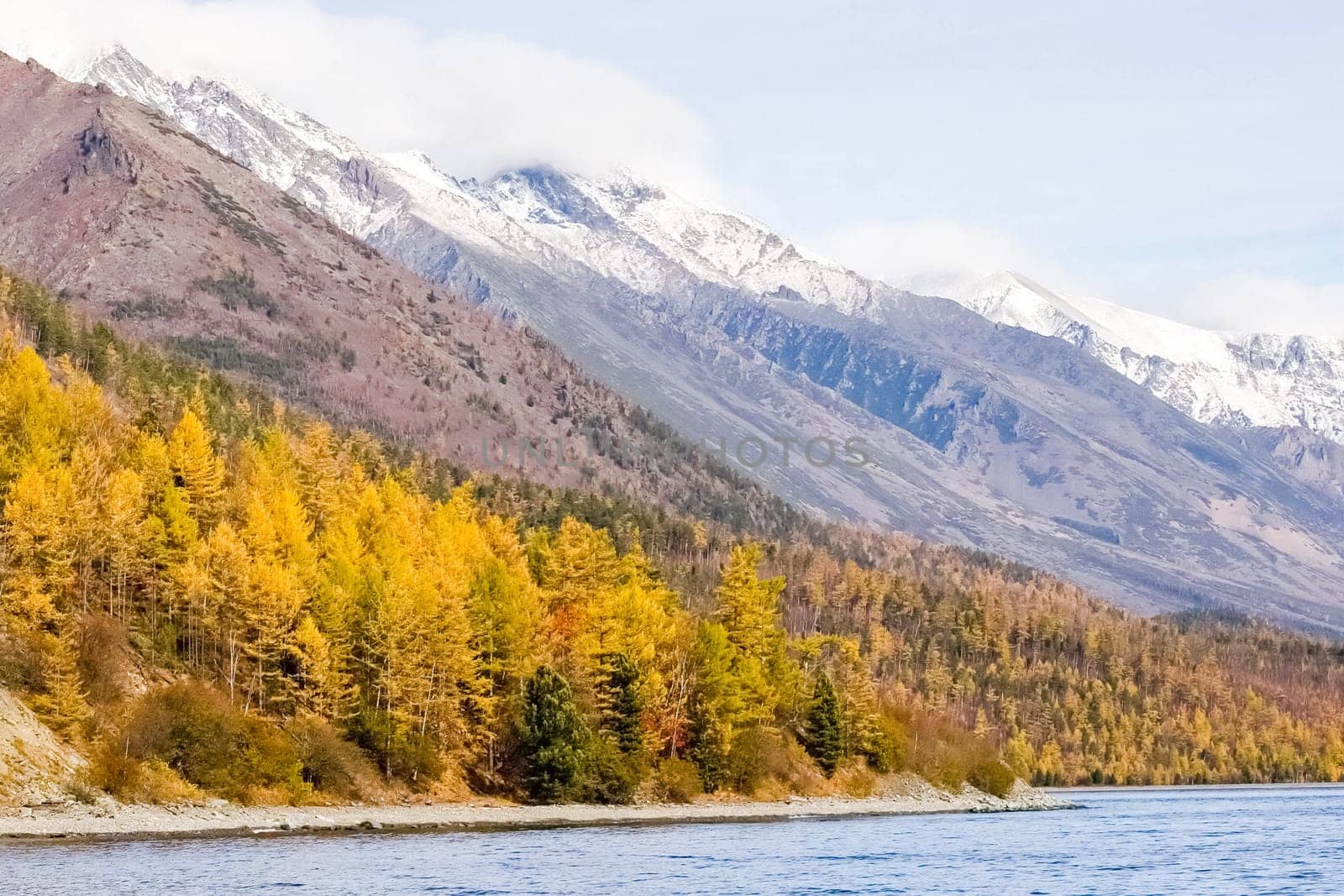 Autumnal nature on Lake Baikal. Landscape and flora of Baikal