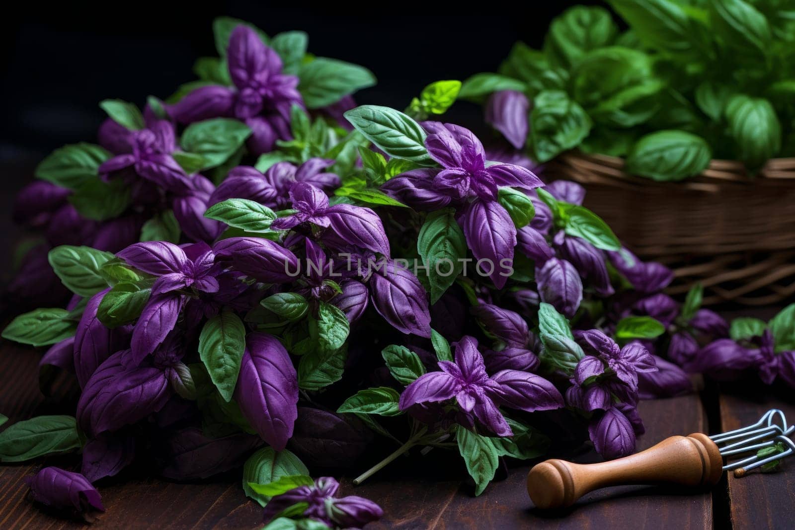 Purple basil herbs plant. Health culinary raw macro plant. Generate Ai