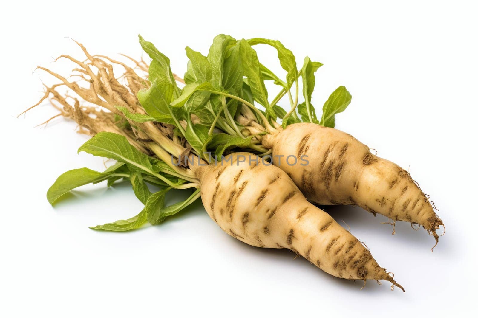 Raw Jerusalem artichoke isolated. Fresh root vegetable health diet. Generate Ai