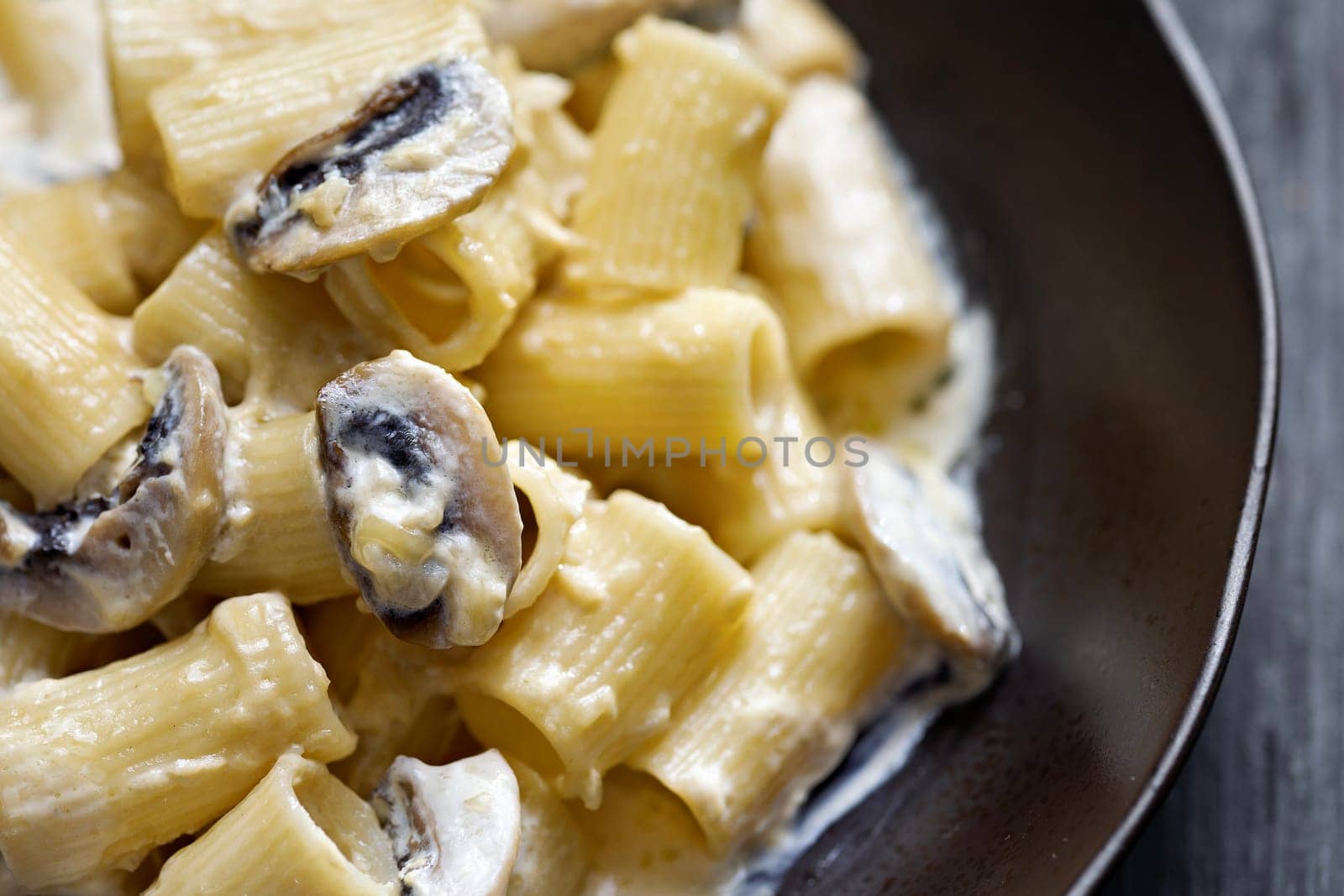 close up of plate of italian rigatoni pasta in mushroom cream sauce