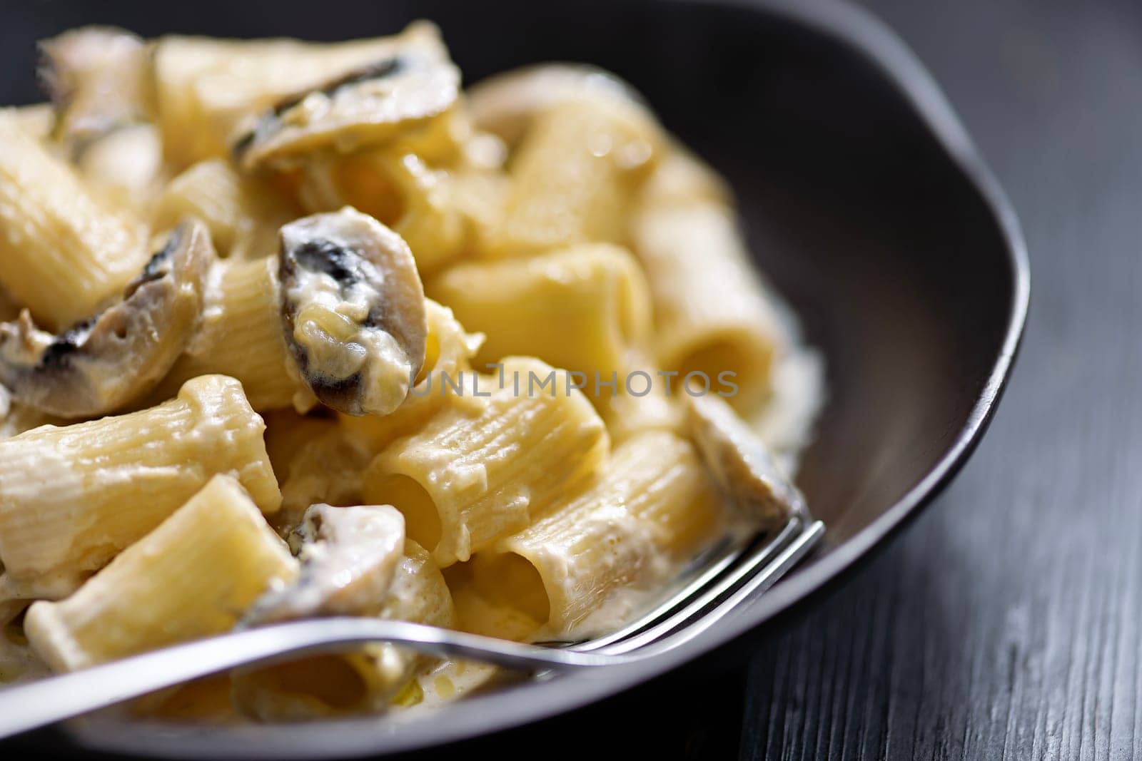 close up of plate of italian rigatoni pasta in mushroom cream sauce