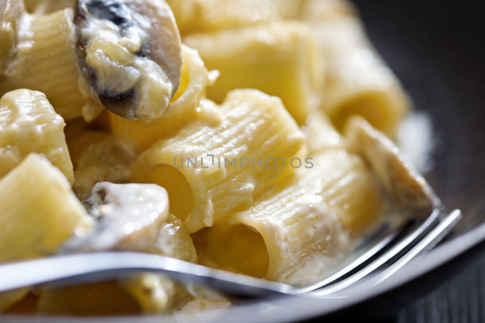 close up of plate of italian rigatoni pasta in mushroom cream sauce