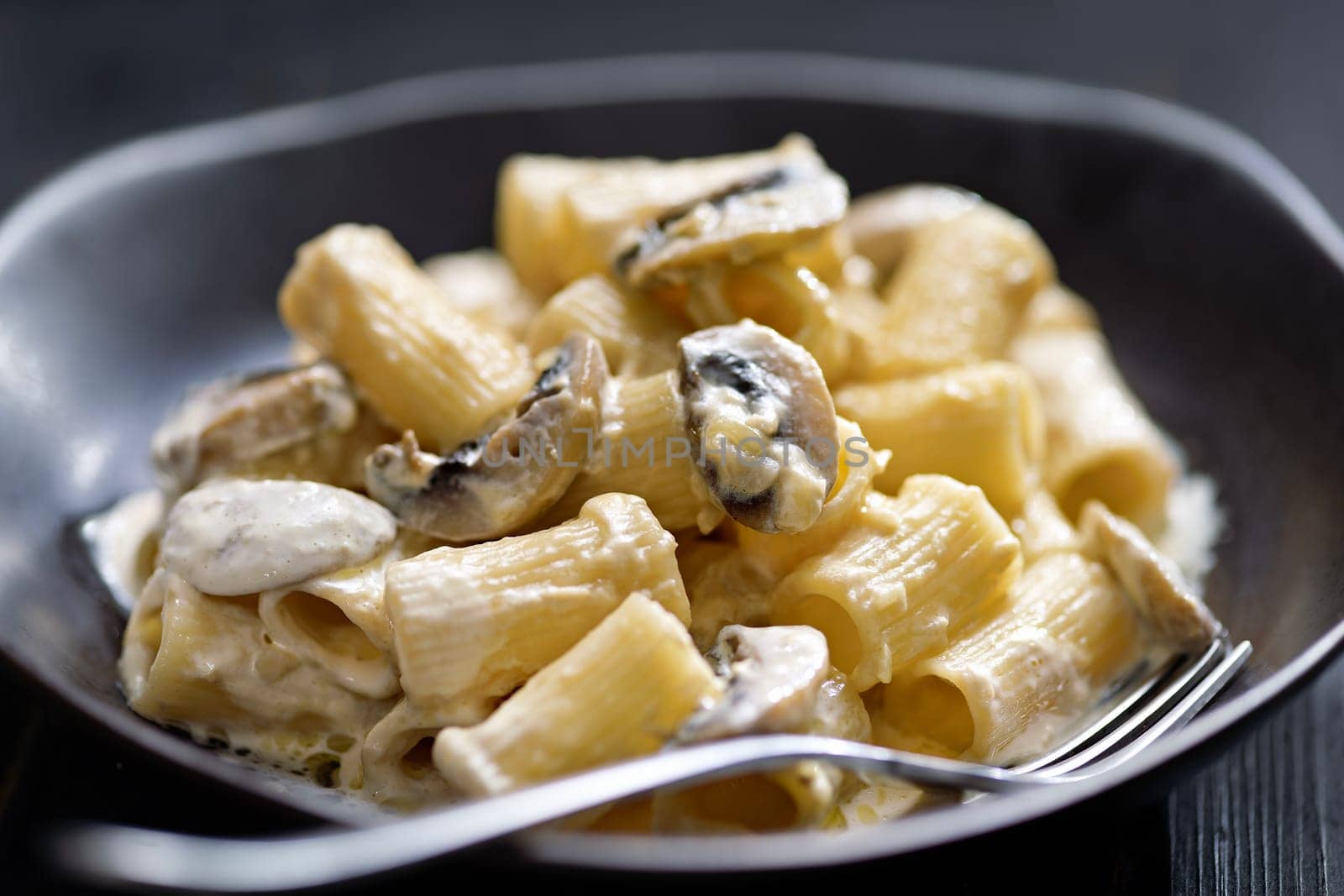 close up of plate of italian rigatoni pasta in mushroom cream sauce