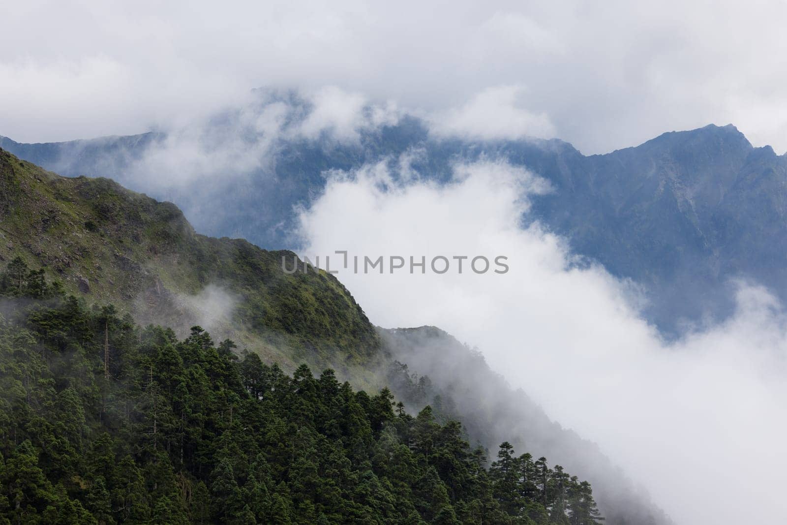 Lush greenery mountain with the foggy mist