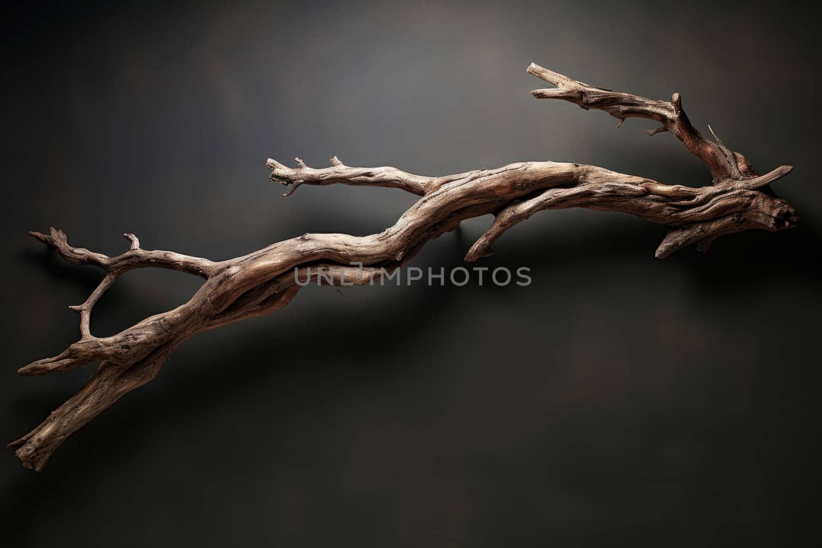 Rustic wood twig window. Natural abstract. Generate Ai