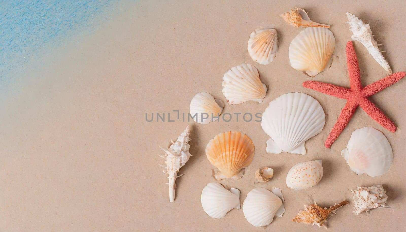 Top view of a sandy beach with collection of seashells and starfish as natural textured background for aesthetic summer design