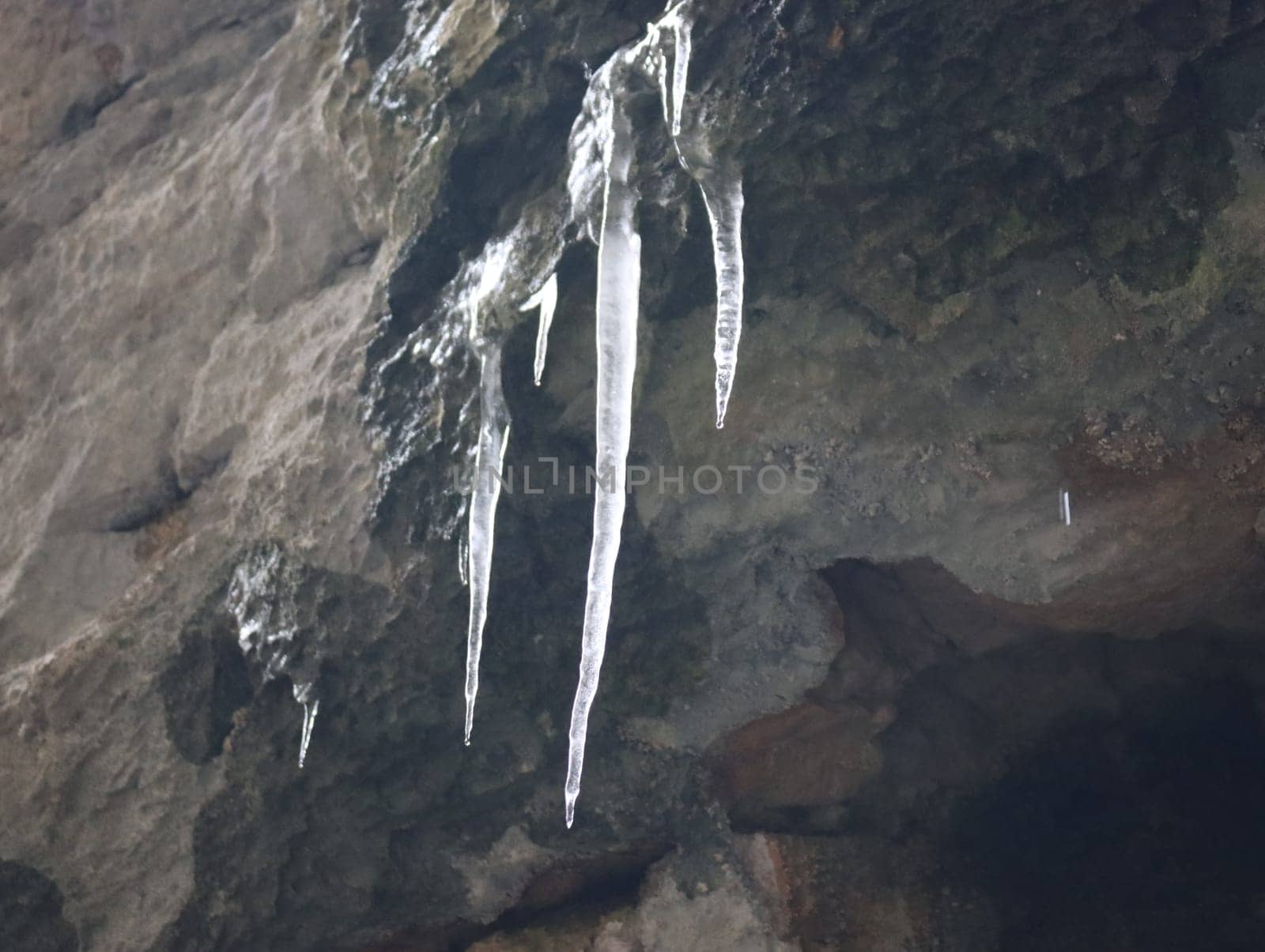 ice lollipops hanging on the wall cold winter