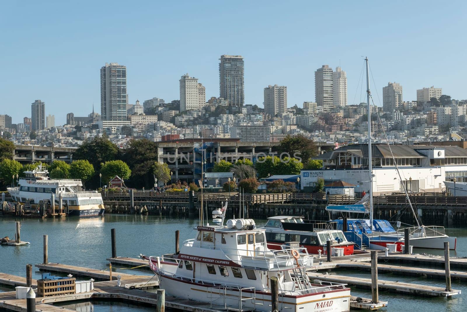 San Francisco, USA - May 18, 2022:  skyline of San Francisco seen from   Pier 39.