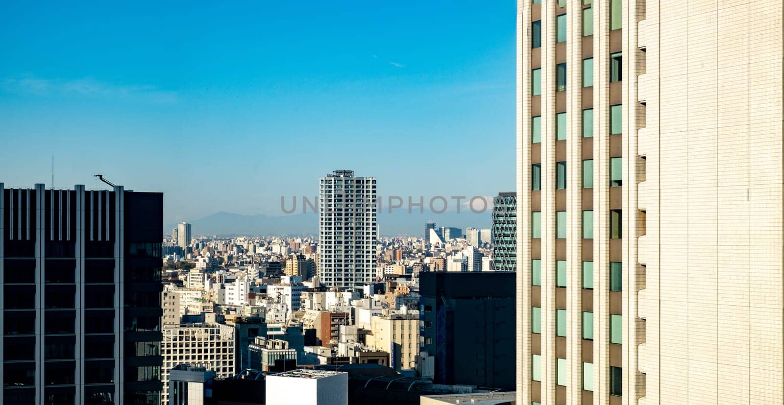 Tokyo, Japan - March 19, 2023: view to skyline of Tokyo with skyscraper under blue sky.
