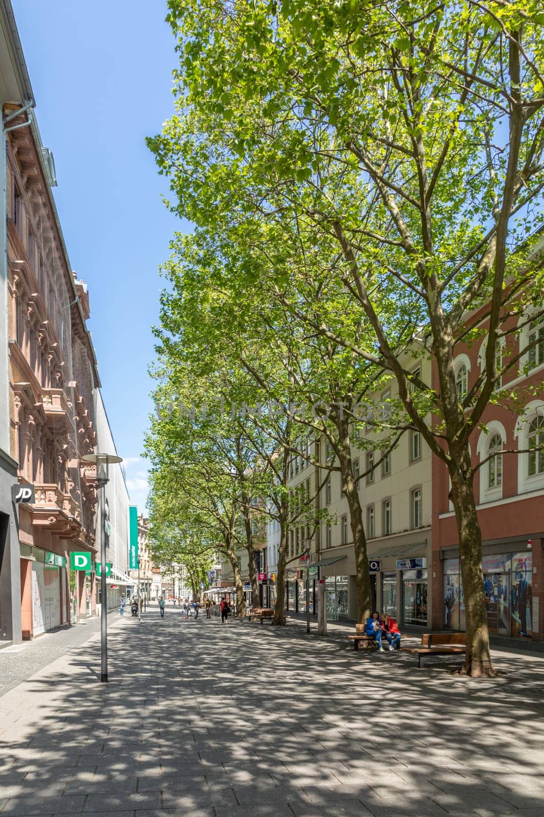 Wiesbaden, Germany - May 18, 2023: pedestrian street in midday sun with trees and shops in the historic classicistic buildings.